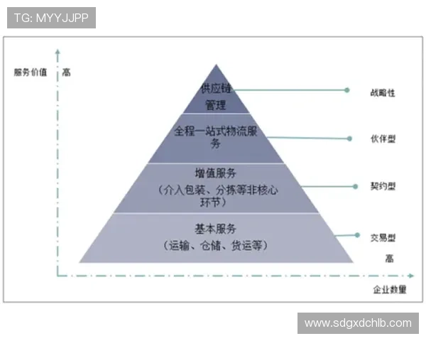 广州篮球队运营全景解析:从管理到市场的深度剖析与发展策略